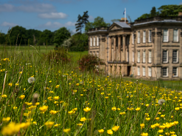 Festival of Archaeology: Limeyards and Brickyards guided walk at Calke Abbey