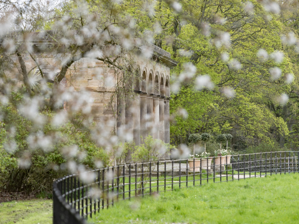 North East in Blossom 2025: Guided poetry walk with Gateshead Libraries