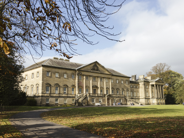 Imagine a World: Story-led yoga