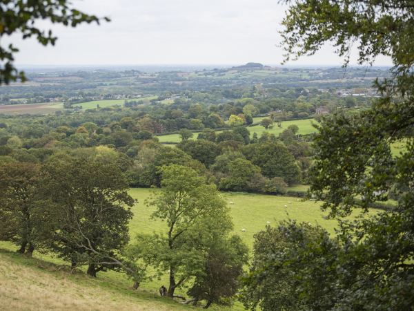 Guided Walk - Valentine's Walk