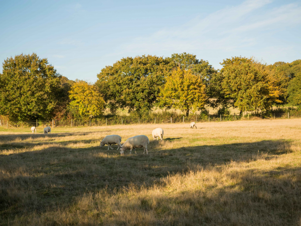 Constable 250:  Maintaining a Masterpiece