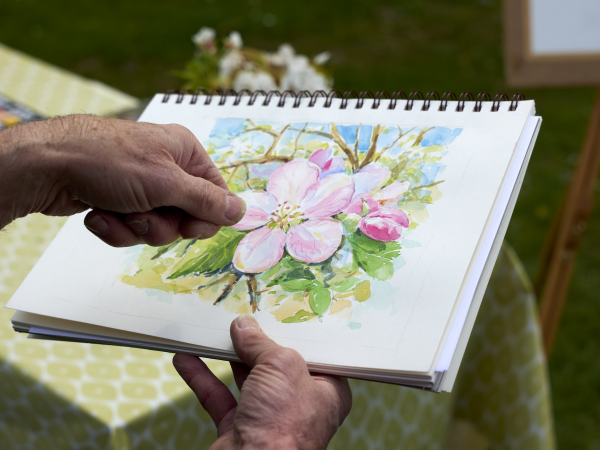 Watercolour Workshop with Sue Kane