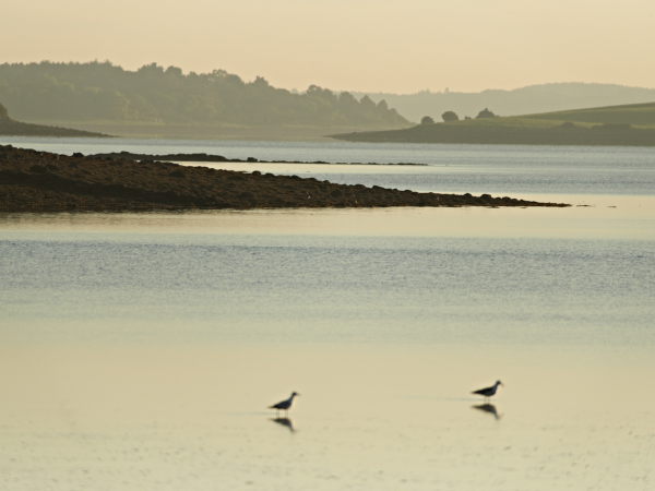 Nature Without a Trace: Enjoying Strangford Lough the WiSe Way Ranger Talk