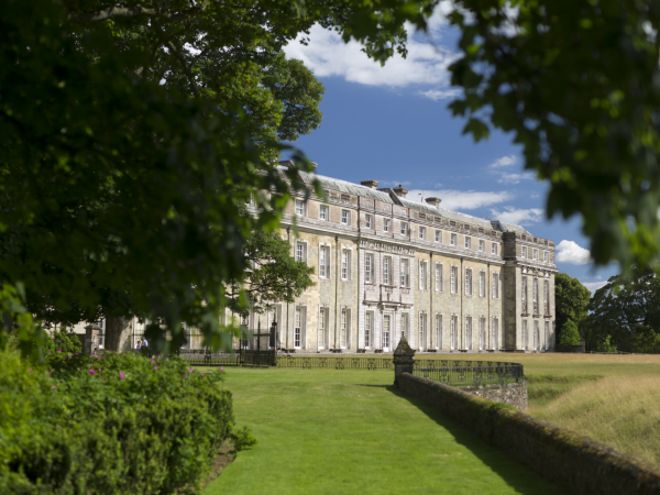 'Rewild This Book' Workshop with Illustrator Lizzie Lomax