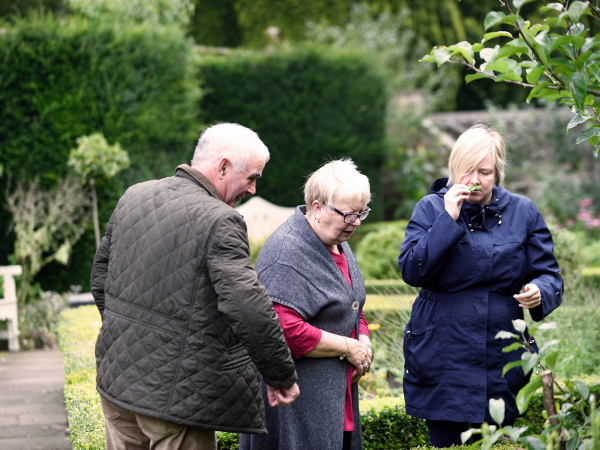 North East in Blossom 2025: Guided walk with the Head Gardener at Washington Old Hall