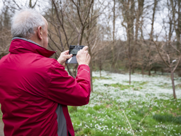 First Light Photography at Kingston Lacy