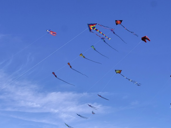 Kite making