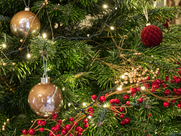 Elf’s Cosy Christmas Storytime (3-7yrs) – Sat 6 and Sat 13 Dec