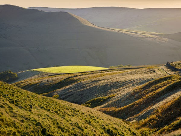 Spring Walks: Derwent Valley Circular from Fairholmes