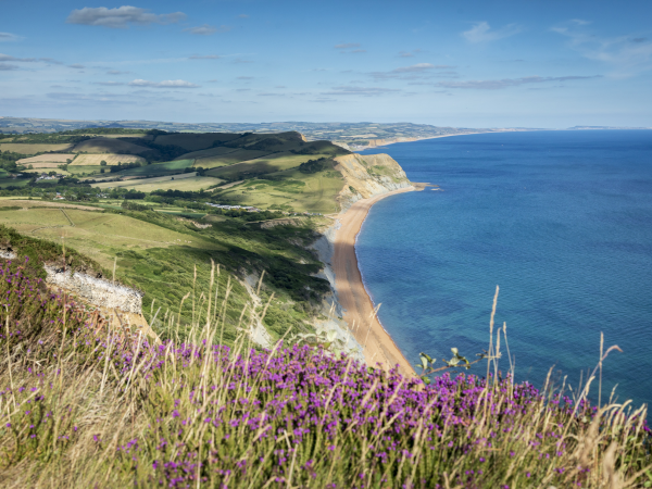 Dear Future: I Leave This Place For You - 17 June - Golden Cap