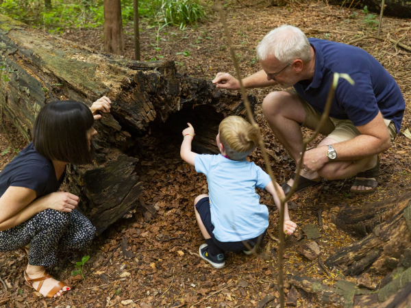 May half term: Mini-beasties and Forest Detectives