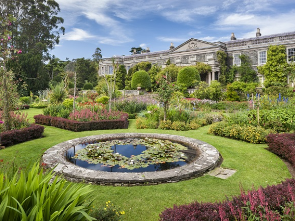 Spring Botanical Art Workshop and Garden Tour with Ali Walker and Rob Wilson