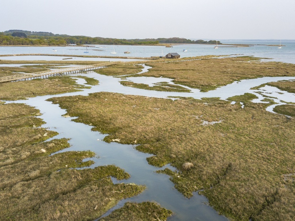 Birds of the estuary and saltmarsh guided walk