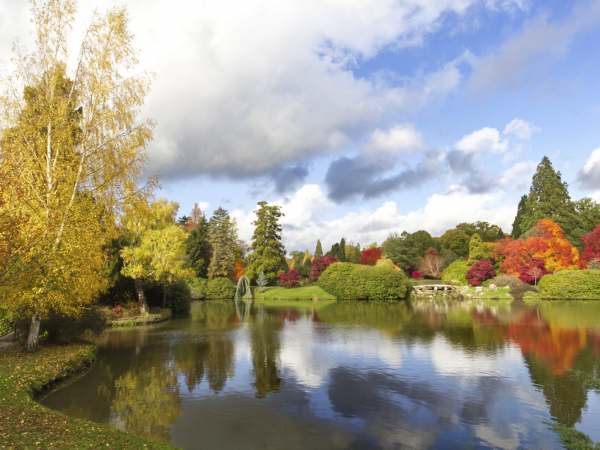 Autumnal Foraging Workshop with Megan Howlett