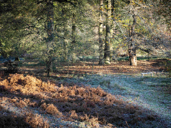 Tramway Trail Guided Walk