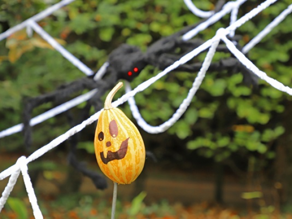 Anglesey Abbey Halloween Trail