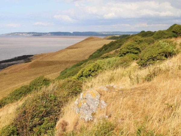 Big Green Week Walk - Sand Point