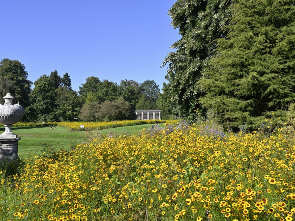 Wildflower Ranger Walk