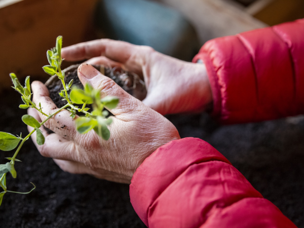 Family-friendly gardening workshops - Angel Central Shopping Centre - 23 May, 10am-2pm