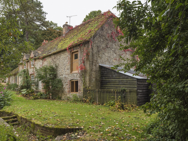 Coleshill Mill and River Cole Tour