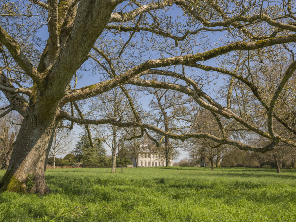Estate Walk: White Mill and Shapwick