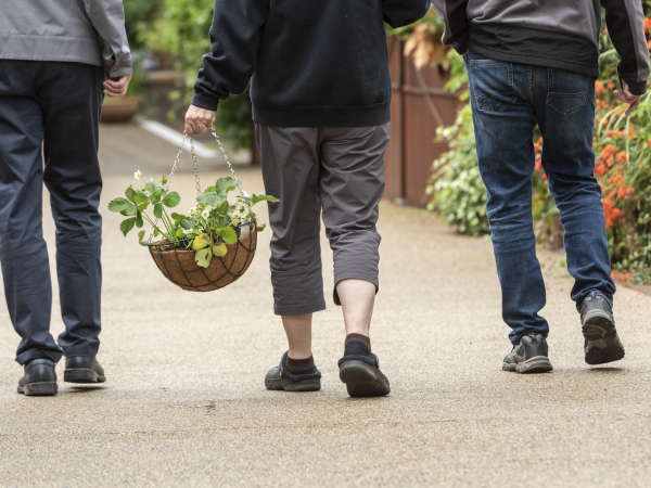Stories in Bloom: NOMA to Castlefield Viaduct