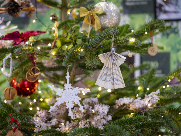 Santa's Holly Jolly Breakfast at Rowallane Garden