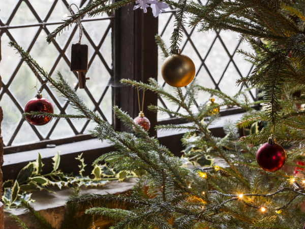 Christmas Wreath Making Workshops with Mollie McMillen