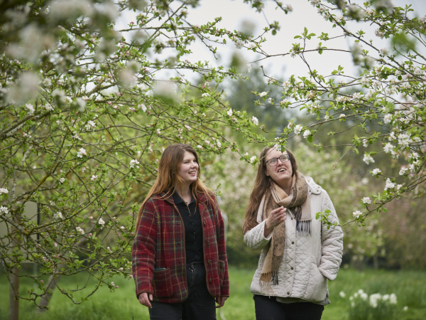 North East in Blossom 2025: Blossom bathing at Gibside