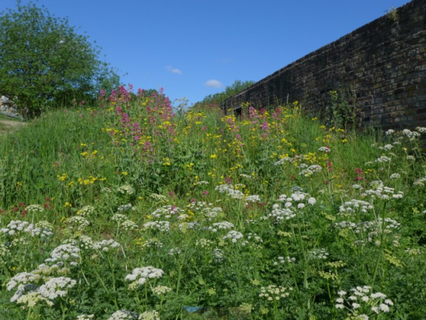 Flora Walk