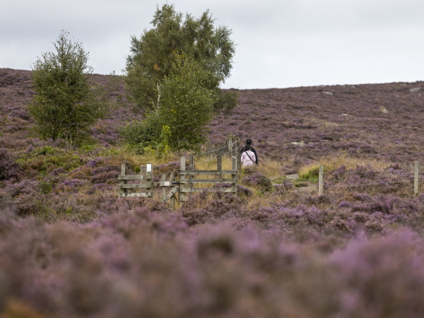 Lose Hill 80th Anniversary Walk from Hope