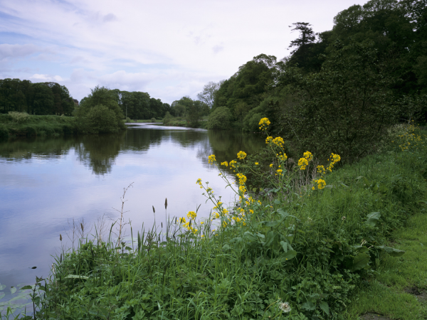 Blackwater Boat trips at The Argory