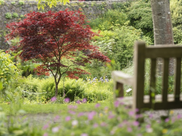 Four Seasons Painting Workshop, Episode 3 - Autumn at Bishop's Gate Garden