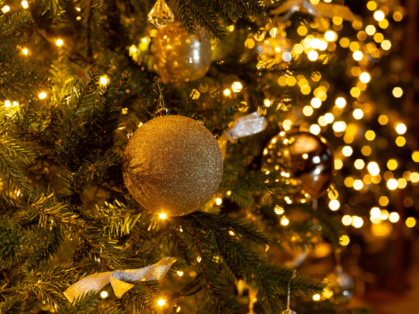 The Knight Before Christmas Evening Tour