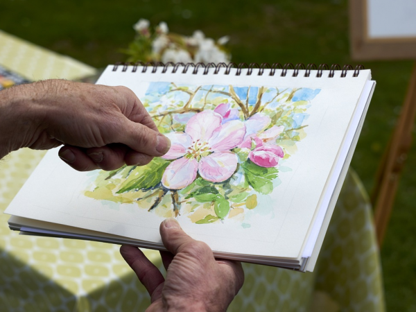 Watercolours for beginners