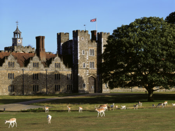 Deer keeping: Autumn rut