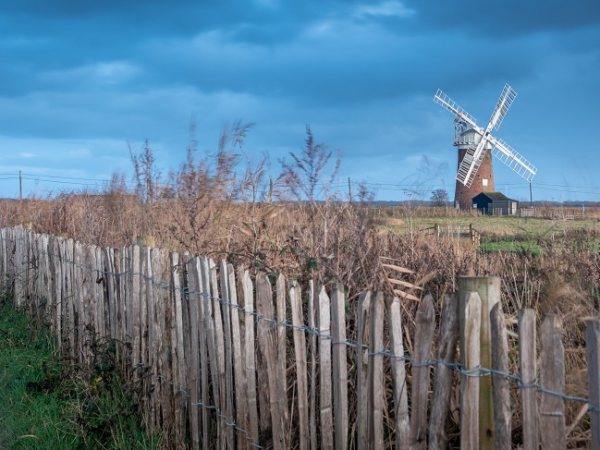 Autumn on Heigham Holmes