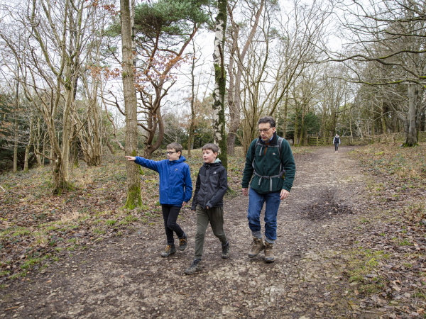 Nature's Story Walk - Arnside and Silverdale