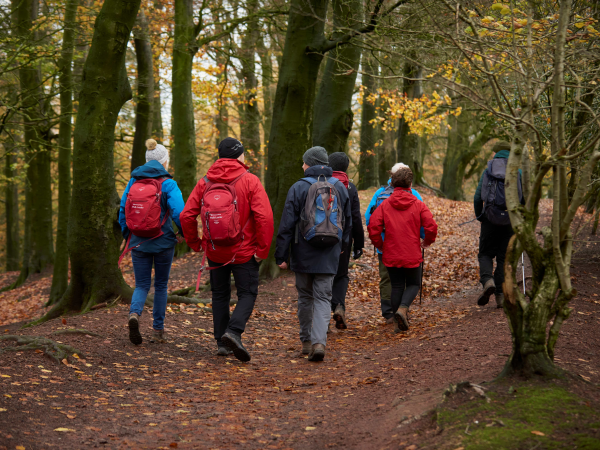 Social Walk on Hampstead Heath
