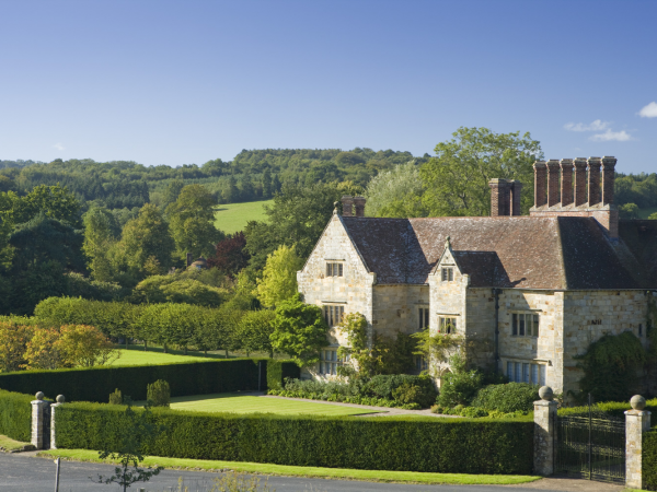 Make your own daffodils - Crepe paper flower workshop