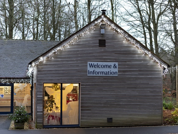 Terrazzo workshop at Wallington this Christmas: Festive decorations