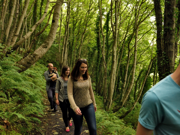 Downhill Bat Experience Walk