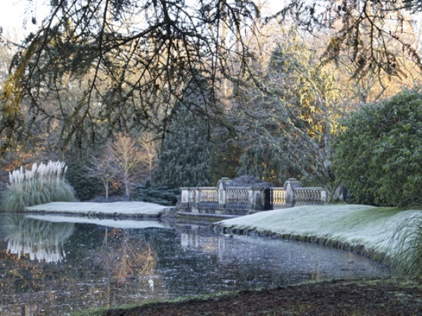 Winter Guided Foraging with Megan Howlett