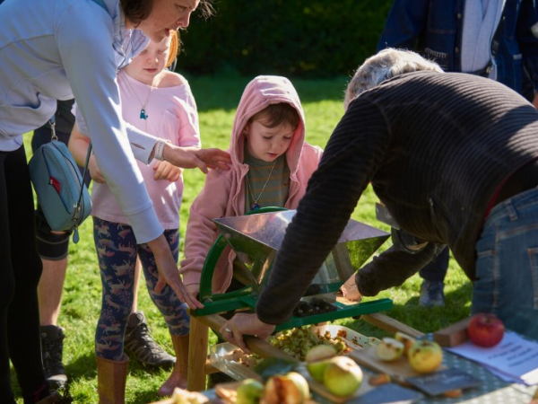 Apple pressing in Saltram's Orchard