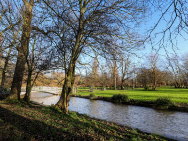 Wellness  Weekend: Forest Bathing, Sun 11 May, 10am-12pm