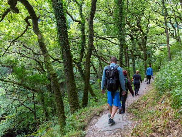 North Devon Walking festival: Wilder, wetter, woodier
