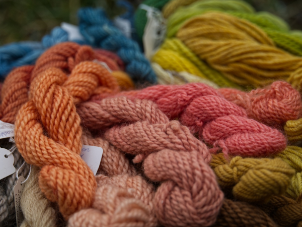 Fleece to Fabric (4-session workshop)