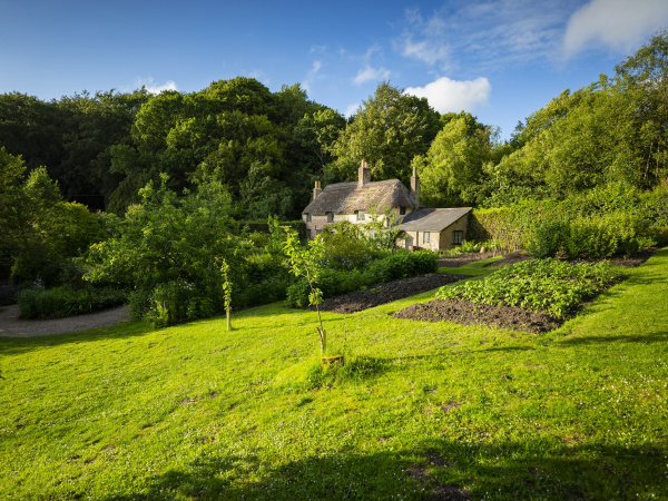 Thomas Hardy Walk - Hardy's Cottage to Max Gate (return)