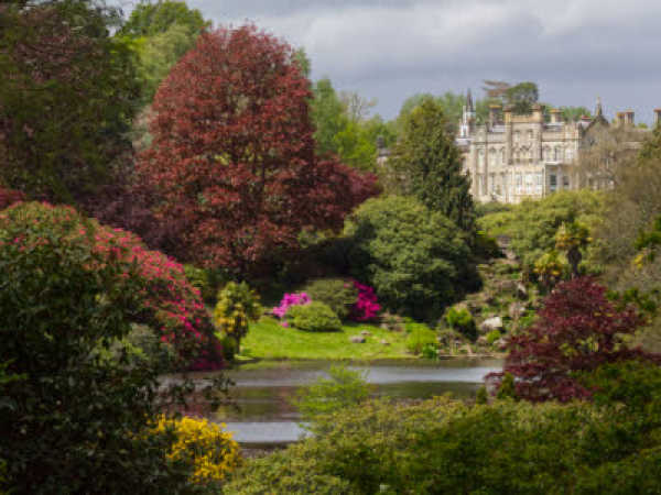 Uckfield - Newick - Sheffield Park bus service