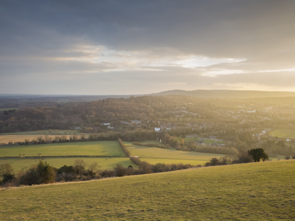 Box Hill Winter Woodland Walk